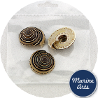 Craft Pack - Sundial Shells